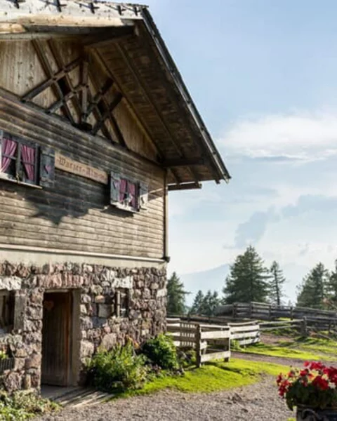 Die Wurzer Alm oberhalb von Hafling