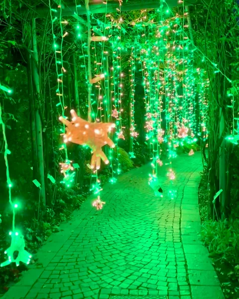 Lichttunnel bei Lumagica in den Gärten von Trauttmansdorff