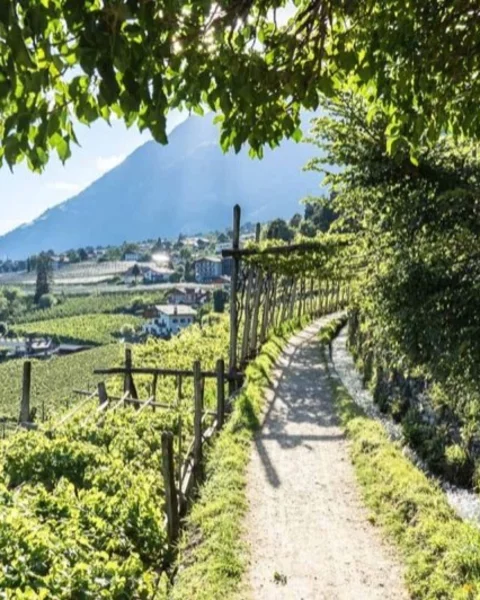Waalwege in Meran