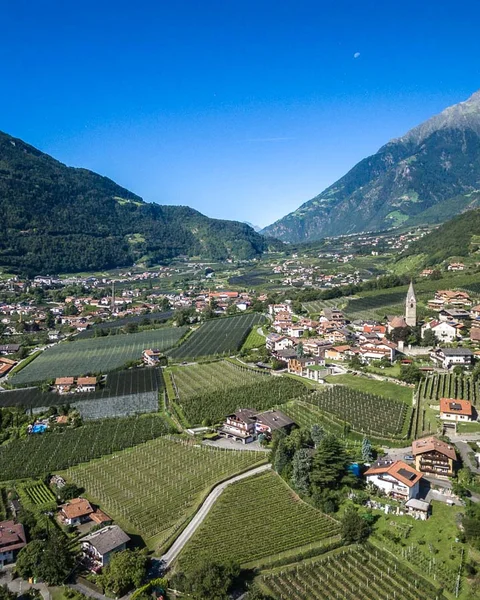 Weinberge bei Marling