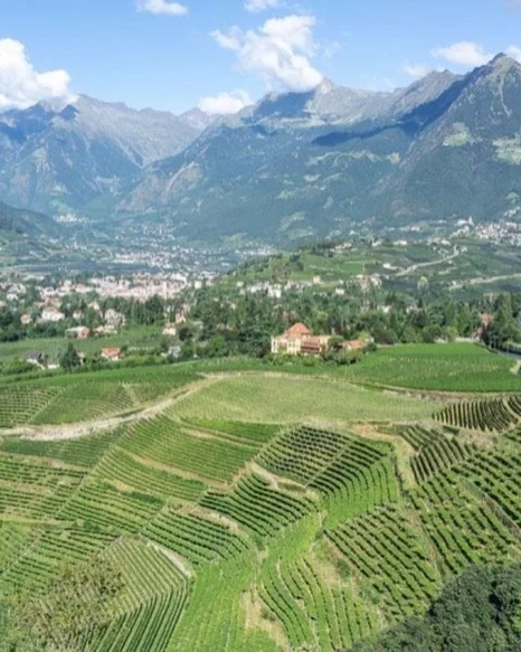 7 Tipps für den August in Meran