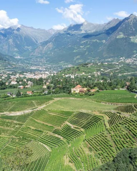 7 Tipps für den August in Meran
