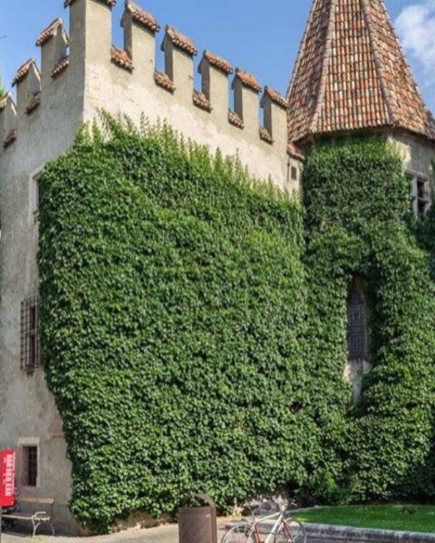 Die Landesfürstliche Burg in Meran
