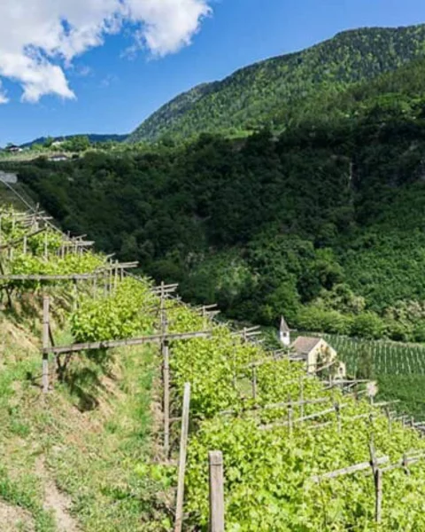Von Meran zum St. Kathrein Kirchlein in Hafling
