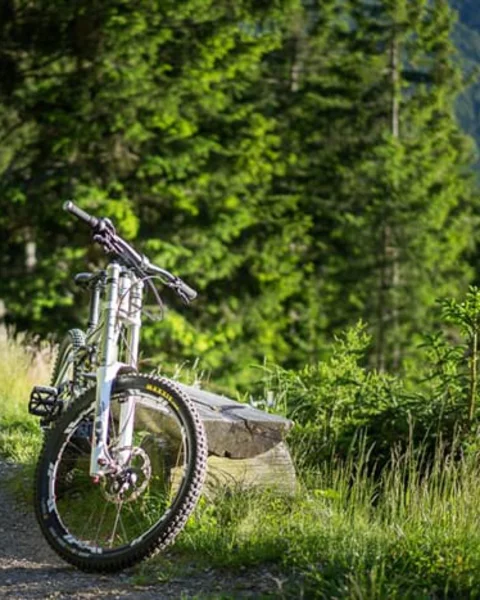 Monte Sole Trail