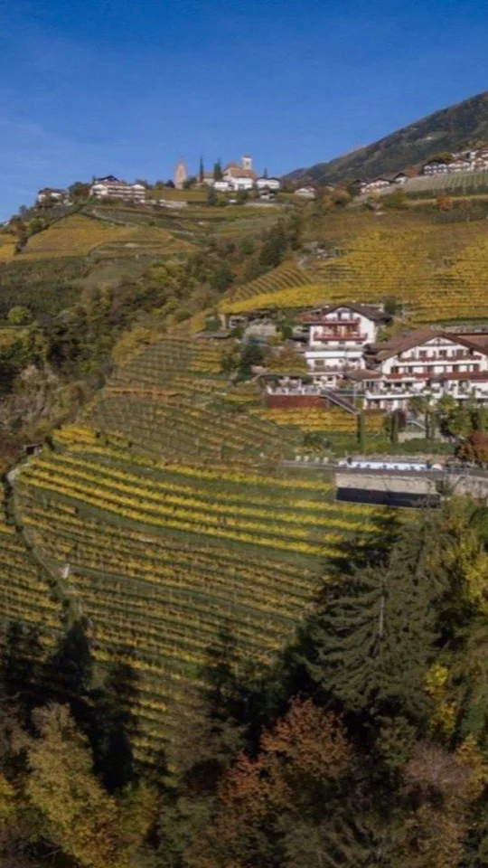 Herbst in den Weinbergen über Meran