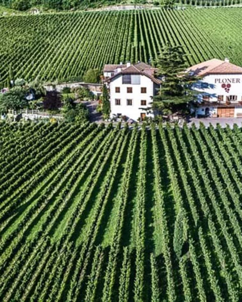 Weingut Plonerhof