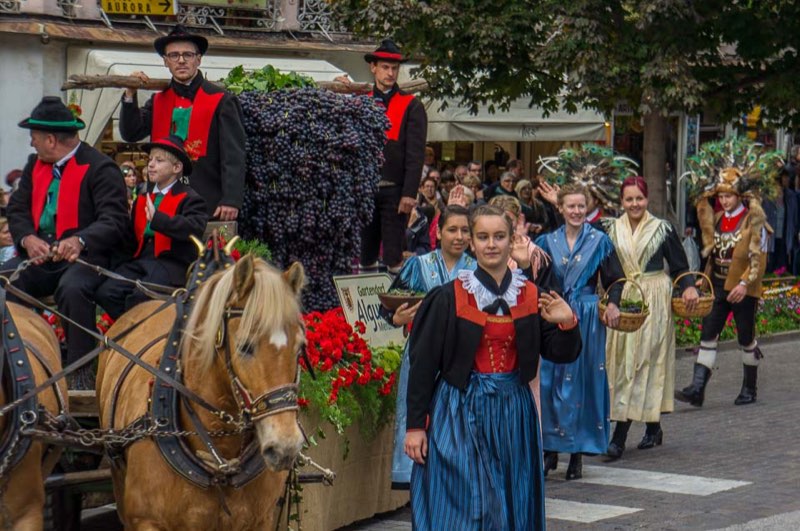 Das Traubenfest in Meran