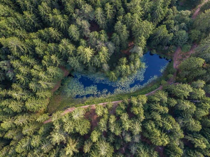 sulfner weiher