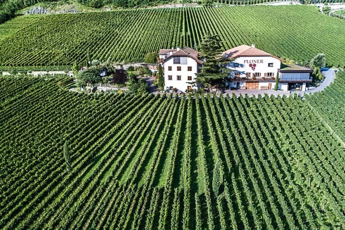 Weingut Plonerhof